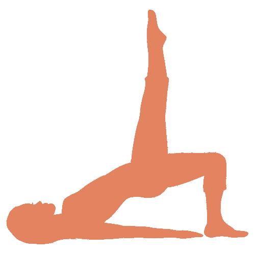 Shape